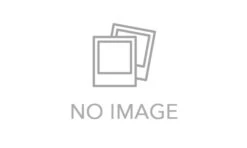 Sailor 1911 Brush Pen Brush Pen -Office Supplies Sale 127798