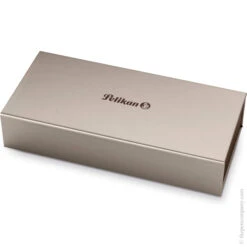 Pelikan Souverän M800 Fountain Pen -Office Supplies Sale 170032